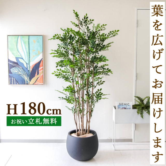 フェイクグリーン トネリコ H約180cm  鉢付き / 人工観葉植物 観葉植物 フェイク 造花 大型 大きい 店舗 装飾 開店 開業 移転 祝い ギフト プレゼント おしゃれ 住宅展示場 モデルハウス オフィス 立札無料 PG279-D42BK