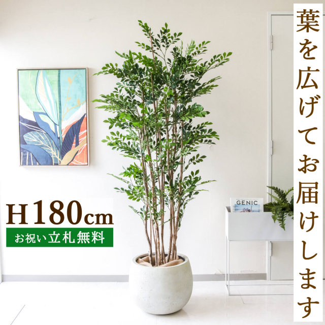 フェイクグリーン ユッカ 人工観葉植物 お手入れ不要 インテリア 光触媒 光の楽園ユッカ 高さ 1.6m【インテリア フェイク