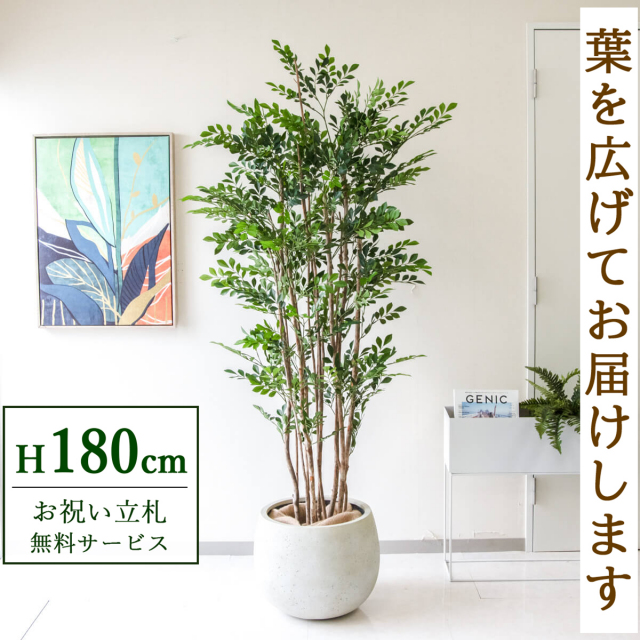 モデルルームで使用 観葉植物 フェイクグリーン