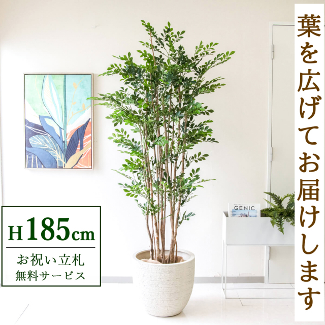 フェイクグリーン トネリコ H約185cm  鉢付き / 人工観葉植物 観葉植物 フェイク 造花 大型 大きい 店舗 装飾 開店 開業 移転 祝い ギフト プレゼント おしゃれ 住宅展示場 モデルハウス オフィス 立札無料 PG279-GIG42IV