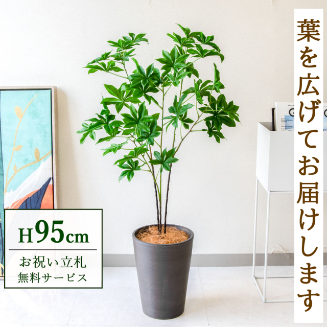 【すぐ飾れる】 フェイクグリーン バオバブツリー 95cm  鉢付き / 法人・開店祝い 店舗・オフィス装飾 空間演出 立札無料・造花/PG280-X20BK