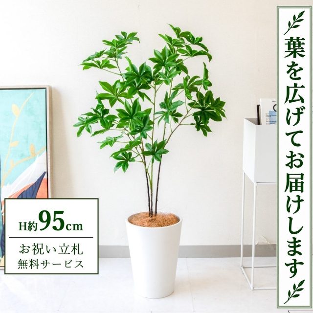 【すぐ飾れる】 フェイクグリーン バオバブツリー H約95cm 鉢付き / 法人・開店祝い 店舗・オフィス装飾 空間演出 立札無料・造花/PG280-X20WH