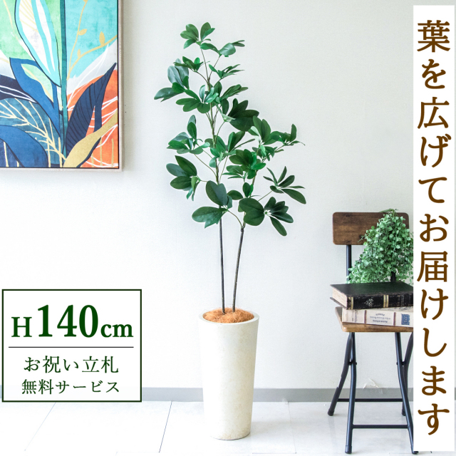 フェイクグリーン シェフレラ H約140cm  鉢付き / 人工観葉植物 観葉植物 フェイク 造花 店舗 装飾 開店 開業 移転 祝い ギフト プレゼント おしゃれ 住宅展示場 モデルハウス オフィス 立札無料 PG281-LRQ21IV