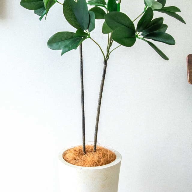 人工 観葉植物 フェイク グリーン ユッカポット H約120cm 店舗