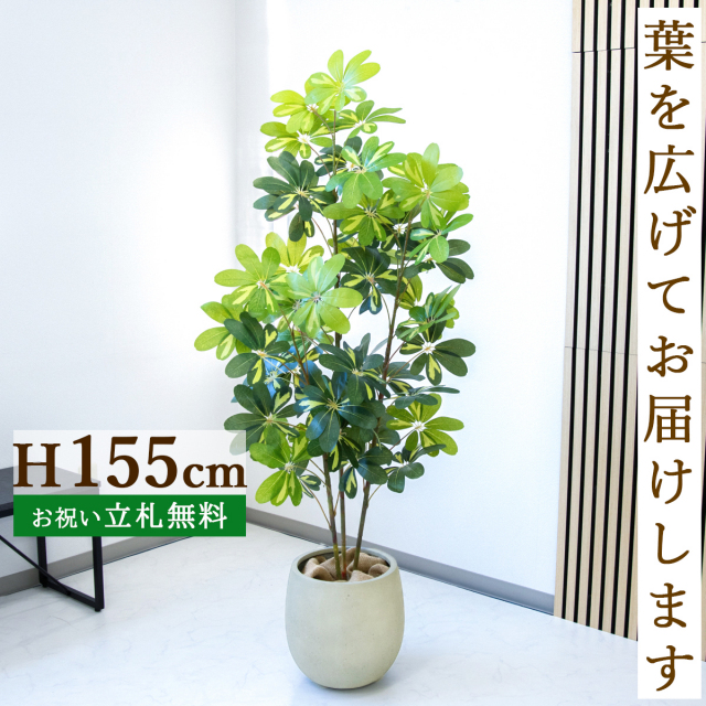 フェイクグリーン シェフレラ H約155cm  鉢付き / 人工観葉植物 観葉植物 フェイク 造花 店舗 装飾 開店 開業 移転 祝い ギフト プレゼント おしゃれ 住宅展示場 モデルハウス オフィス 立札無料 PG282-BAL30IV