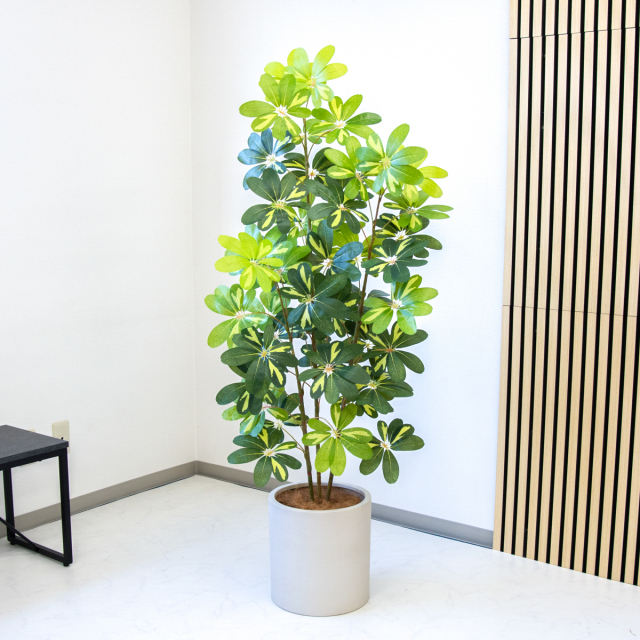 人工 観葉植物 フェイク グリーン モンステラ H約175cm 大型 店舗 装飾