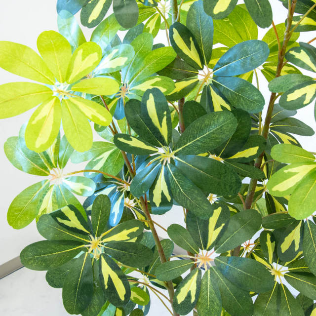 人工 観葉植物 フェイク グリーン モンステラ H約175cm 大型 店舗 装飾