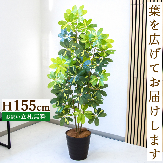 フェイクグリーン シェフレラ H約155cm  鉢付き / 人工観葉植物 観葉植物 フェイク 造花 店舗 装飾 開店 開業 移転 祝い ギフト プレゼント おしゃれ 住宅展示場 モデルハウス オフィス 立札無料 PG282-M27DB