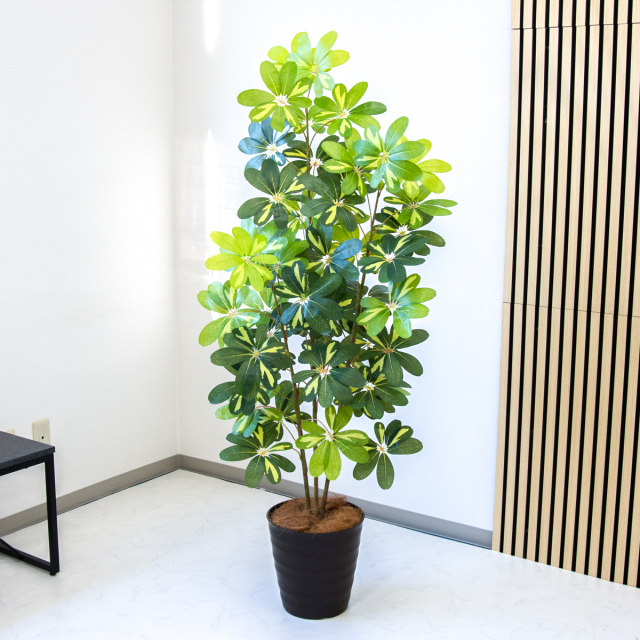 人工 観葉植物 フェイク グリーン モンステラ H約175cm 大型 店舗 装飾 人工 観葉植物 フェイク グリーン モンステラ H約175cm 大型 店舗 装飾