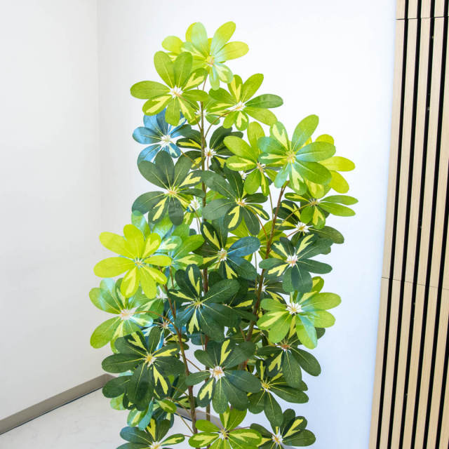 人工 観葉植物 フェイク グリーン モンステラ H約175cm 大型 店舗 装飾