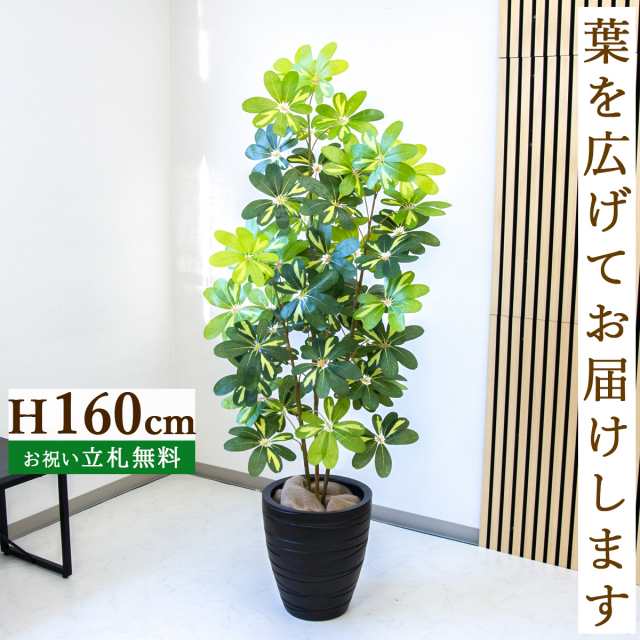 フェイクグリーン シェフレラ H約160cm  鉢付き / 人工観葉植物 観葉植物 フェイク 造花 店舗 装飾 開店 開業 移転 祝い ギフト プレゼント おしゃれ 住宅展示場 モデルハウス オフィス 立札無料 PG282-WOD31BR