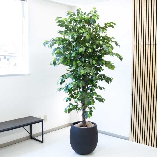 人工 観葉植物 フェイク グリーン ベンジャミン H約160cm 店舗 装飾