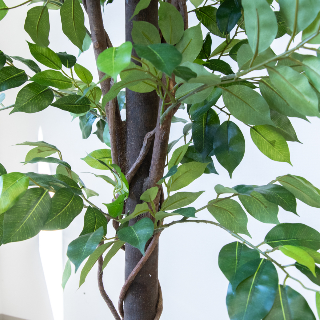 人工 観葉植物 フェイク グリーン ベンジャミン H約160cm 店舗 装飾