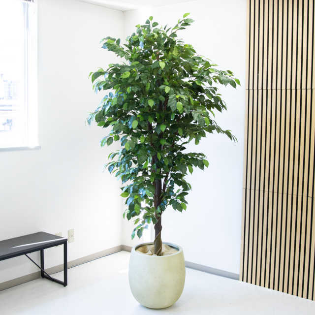 人工 観葉植物 フェイク グリーン ベンジャミン H約160cm 店舗 装飾