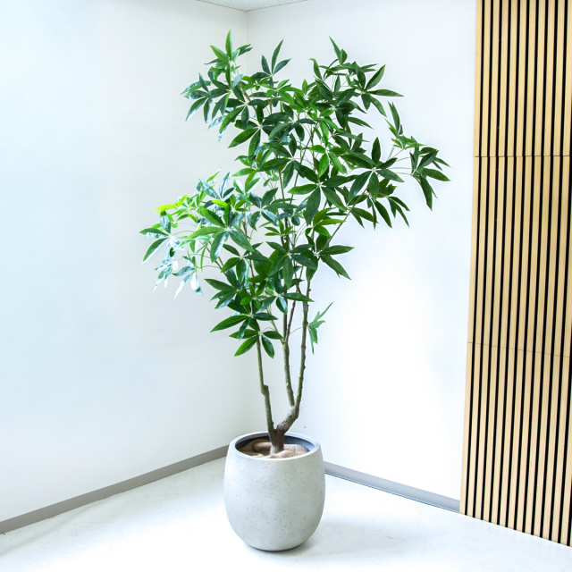 人工 観葉植物 フェイク グリーン ベンジャミンフィカスツリー H約