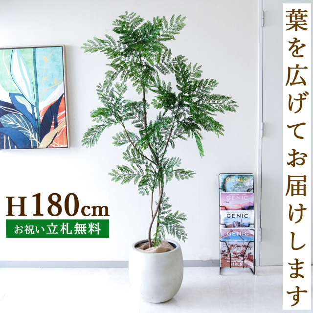 フェイクグリーン エバーフレッシュ H約180cm  鉢付き / 人工観葉植物 観葉植物 フェイク 造花 大型 大きい 店舗 装飾 開店 開業 移転 祝い ギフト プレゼント おしゃれ 住宅展示場 モデルハウス オフィス 立札無料 PG287-BAL35IV