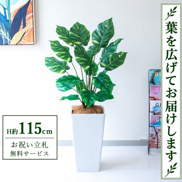 【すぐ飾れる】 フェイクグリーン ポトス H約115cm 鉢付き / 法人・開店祝い 店舗・オフィス装飾 空間演出 立札無料・造花/PG290-Q25WH