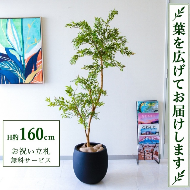 【すぐ飾れる】 フェイクグリーン ポリシャス H約160cm 鉢付き / 法人・開店祝い 店舗・オフィス装飾 空間演出 立札無料・造花/PG292-BAL35BK