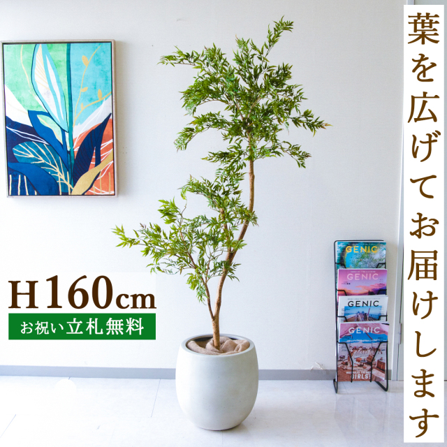フェイクグリーン ポリシャス H約160cm  鉢付き / 人工観葉植物 観葉植物 フェイク 造花 店舗 装飾 開店 開業 移転 祝い ギフト プレゼント おしゃれ 住宅展示場 モデルハウス オフィス 立札無料 PG292-BAL35IV