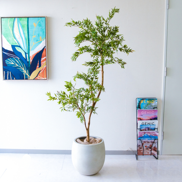 人工 観葉植物 フェイク グリーン ベンジャミン H約160cm 店舗