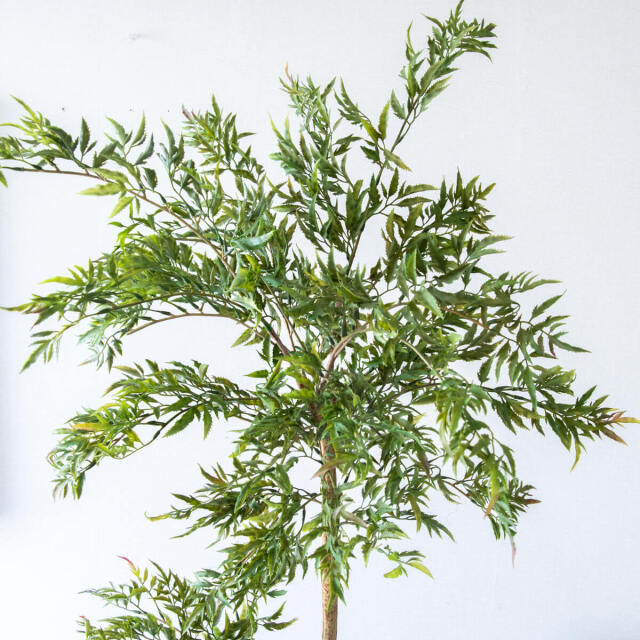 【美品】フェイクグリーン 観葉植物160cm 鉢植 Amazon｜HGJH 人工観葉植物 フェイクグリーン 160cm 大型 鉢付き