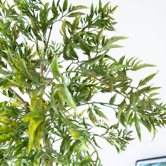 【美品】フェイクグリーン 観葉植物160cm 鉢植 Amazon｜HGJH 人工観葉植物 フェイクグリーン 160cm 大型 鉢付き