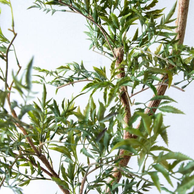 【美品】フェイクグリーン 観葉植物160cm 鉢植 Amazon｜フェイクグリーン 大型 人工観葉植物 160cm 樹脂鉢 緑葉