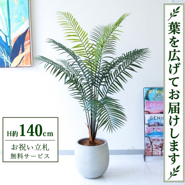 【すぐ飾れる】 フェイクグリーン アレカパーム H約140cm 鉢付き / 法人・開店祝い 店舗・オフィス装飾 空間演出 立札無料・造花/PG294-BAL30IV