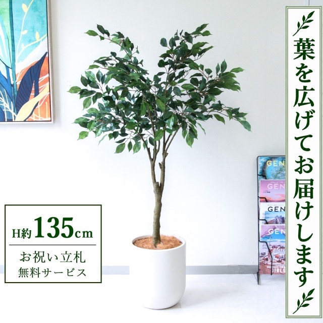 【すぐ飾れる】 フェイクグリーン フィカス ベンジャミン H約135cm 鉢付き / 法人・開店祝い 店舗・オフィス装飾 空間演出 立札無料・造花/PG298-CHC29IV