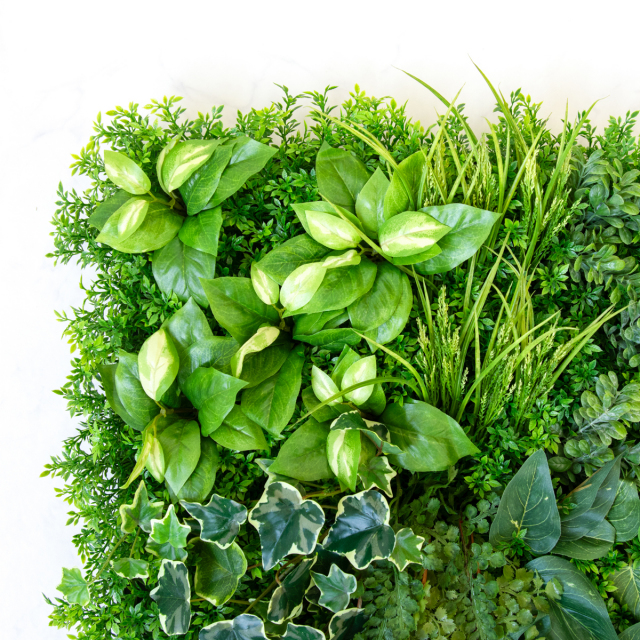人工観葉植物　壁面緑化　グリーン 人工観葉植物 壁面緑化 グリーン壁壁掛け 触媒加工品 送料無料