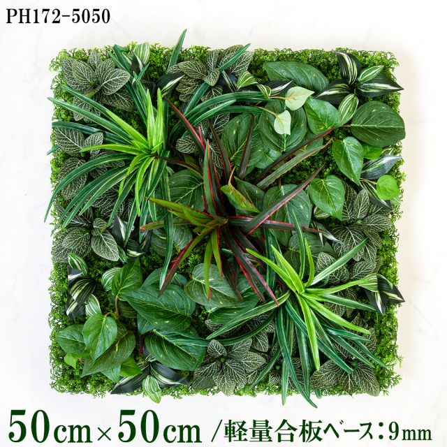造花壁面緑化ボード【施工業者様向け】50cm×50cm 軽量合板ベース / 組み合わせ方は自由！！ グリーンパネル ウォールグリーン フェイク 壁掛け 人工観葉 内装 店内 店舗 装飾 ディスプレイ インテリア 施設/PH172-5050(ウォーターリーフベース×デザイン)