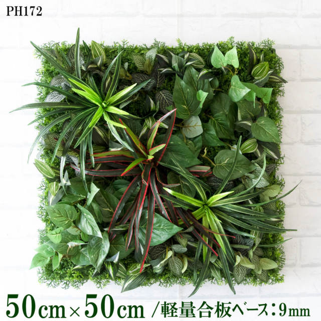 造花壁面緑化ボード【施工業者様向け】50cm×50cm 軽量合板ベース / 組み合わせ方は自由！！ グリーンパネル ウォールグリーン フェイク 壁掛け 人工観葉 内装 店内 店舗 装飾 ディスプレイ インテリア 施設/PH172(ウォーターリーフベース×デザイン)