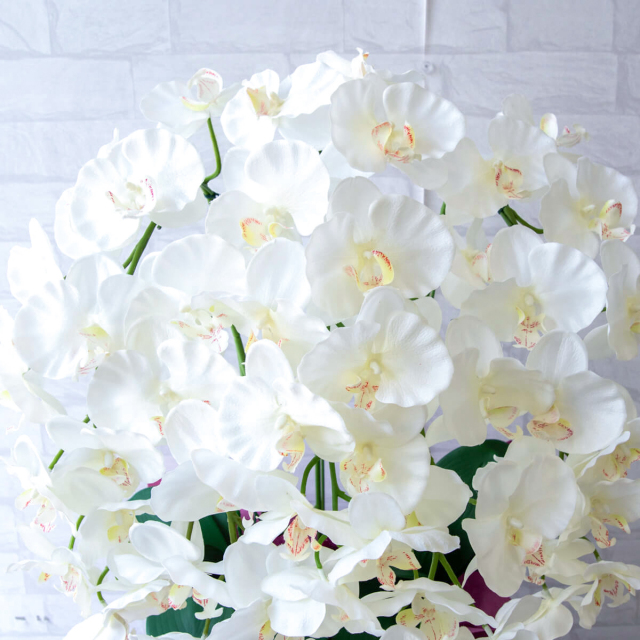 造花 胡蝶蘭/5本立ち/白/H約75cm/フェイク 開店祝い 開院祝い