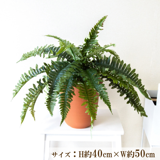 造花 フェイク グリーン ポット 人工 観葉 プランター フラワー アレンジメント アートフラワー フェイクグリーン 店舗装飾 ディスプレイ インテリア 住宅展示場 モデルハウス ショールーム 通年 グリーン【PU013-APOTLB 造花プランターポット(ボストンファン)】