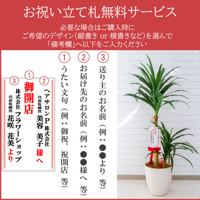 PG265-M27DB パキラ H約155cm /ポリプロピレン鉢