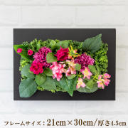 壁掛けアレンジ 造花 ウォールグリーン フェイクグリーン フレーム 壁面緑化 ウォールデコ 壁面 アレンジ ディスプレイ インテリア おしゃれ 店舗装飾【PW205-CL-21x30-BK 壁掛けウッドフレーム造花フラワーアレンジメント】