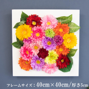 壁掛けアレンジ 造花 ウォールグリーン フェイクグリーン フレーム 壁面緑化 ウォールデコ 壁面 アレンジ ディスプレイ インテリア おしゃれ 店舗装飾【PW295-CL-40x40-WH 壁掛けウッドフレーム造花フラワーアレンジメント】