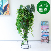 【立札無料】造花スタンド H約150cm / 開店祝い 開業祝い 祝い花 空間装飾 店舗装飾/PA703-PLCON90LB