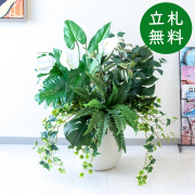 【立札無料】造花アレンジ H約90cm / 開店祝い 開業祝い 祝い花 空間装飾 店舗装飾/PA947-CHC29IV