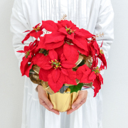 造花アレンジメントポット(ポインセチア/レッド) 高さ38cm   /クリスマス装飾 フラワーアレンジメント テーブルプランター インテリアフラワー フェイク 卓上 おしゃれ 装飾 置き型 店舗装飾 店内装飾  (PAS140)