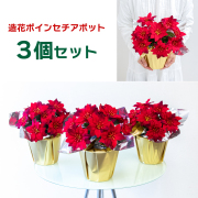 造花アレンジメントポット(ポインセチア/レッド) ３個セット 高さ30cm   /クリスマス装飾 フラワーアレンジメント テーブルプランター インテリアフラワー フェイク 卓上 おしゃれ 装飾 置き型 店舗装飾 店内装飾  (PAS161-SET3)
