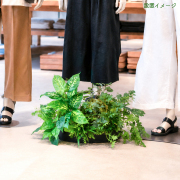 造花プランター インテリアプランター 寄せ植え フェイクグリーン フラワー アレンジメント アートフラワー 店舗装飾 ディスプレイ 商業施設 住宅展示場 モデルハウス ショールーム/PFE002-BOTBK 造花インテリアプランター(ディフェンバキア・スピリットフィロ・etc)