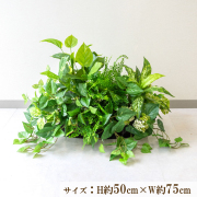 造花プランター インテリアプランター 寄せ植え フェイクグリーン フラワー アレンジメント アートフラワー 店舗装飾 ディスプレイ 商業施設 住宅展示場 モデルハウス ショールーム/PFE003-BOTBK 造花インテリアプランター(ポトス・メイデンヘアー・etc)