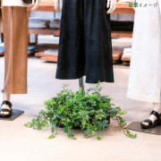 造花プランター インテリアプランター 寄せ植え フェイクグリーン フラワー アレンジメント アートフラワー 店舗装飾 ディスプレイ 商業施設 住宅展示場 モデルハウス ショールーム/PFE006-BOTBK 造花インテリアプランター(フロストアイビー・ローズマリー・etc)