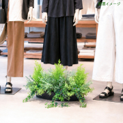 造花プランター インテリアプランター 寄せ植え フェイクグリーン フラワー アレンジメント アートフラワー 店舗装飾 ディスプレイ 商業施設 住宅展示場 モデルハウス ショールーム/PFE008-BOTBK 造花インテリアプランター(ゴールドクレスト・ローズマリー・etc)