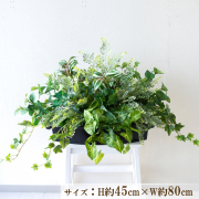 造花プランター インテリアプランター 寄せ植え フェイクグリーン フラワー アレンジメント アートフラワー 店舗装飾 ディスプレイ 商業施設 住宅展示場 モデルハウス ショールーム/PFE013-BOTBK 造花インテリアプランター()