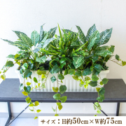 寄せ植えフェイクグリーンプランター 造花プランター 人工観葉植物 インテリア フェイクプランツ インテリアグリーン 店舗装飾 ディスプレイ 商業施設 住宅展示場 モデルハウス ショールーム/PFW006-JRM 寄せ植えフェイクグリーンプランター