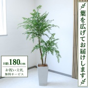 【すぐ飾れる】 フェイクグリーン トネリコ H約180cm 大型 鉢付き / 法人・開店祝い 店舗・オフィス装飾 空間演出 立札無料・造花/PG1013-Q25WH