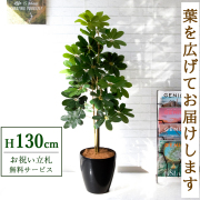 【すぐ飾れる】 フェイクグリーン シェフレラ カポック 130cm 鉢付き / 法人・開店祝い 店舗・オフィス装飾 空間演出 立札無料・造花/PG105-A265BK