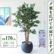 【すぐ飾れる】 フェイクグリーン トネリコツリー H約170cm 大型 鉢付き / 法人・開店祝い 店舗・オフィス装飾 空間演出 立札無料・造花/PG146-D42BK